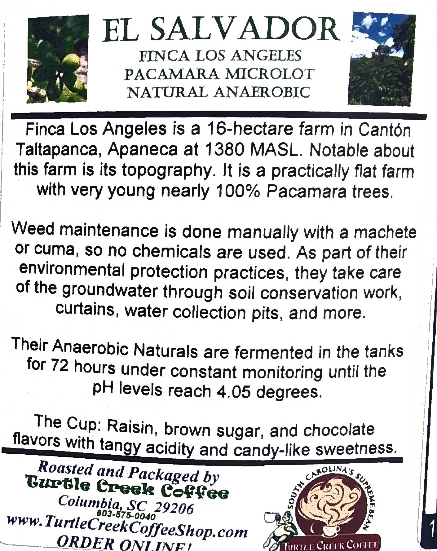16oz Anaerobic Natural El Salvador Microlot - Image 2